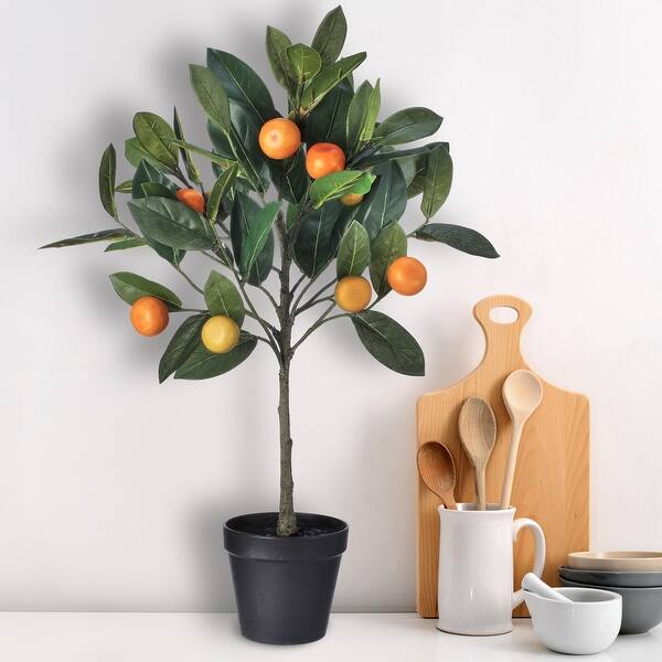 Potted Mandarin Orange Topiary 24" Bed Bath & Beyond 37212236